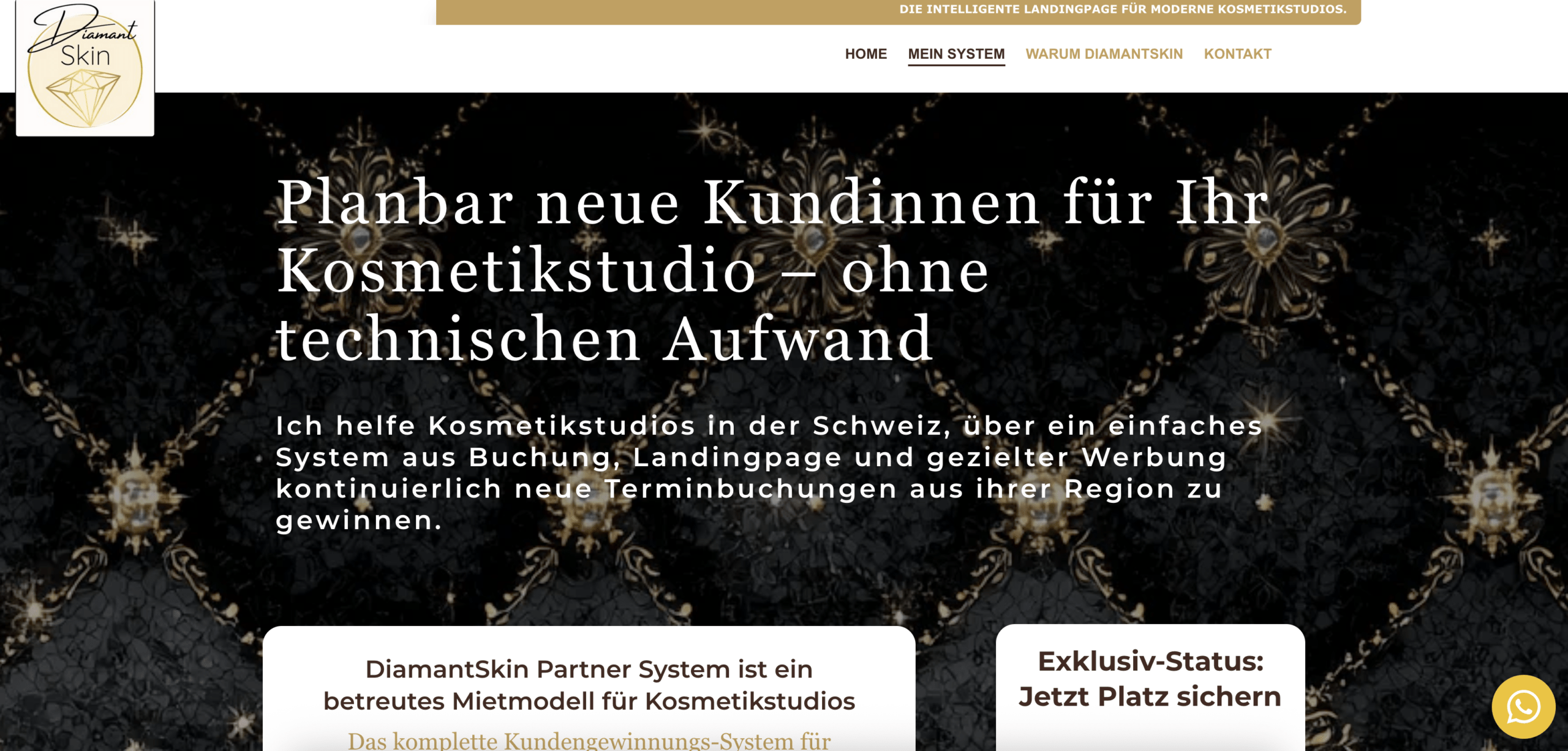 DiamantSkin Webseite Bild